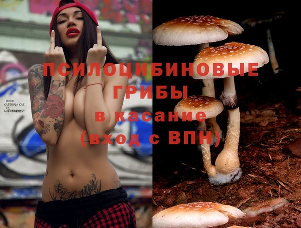 spice Киренск