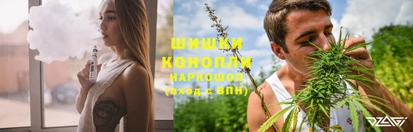 кокс Касимов